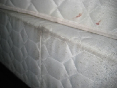 Tips to Save a Water Damaged Mattress